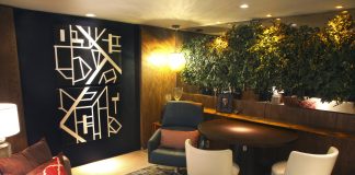 Decoração que evidencia a elegante naturalidade do verde