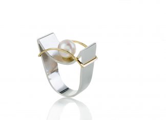 Marchand Virginia Antero realiza exposição em homenagem ao aniversário de Brasília