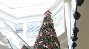 Papai Noel traz a magia do Natal para o Iguatemi Brasília