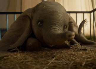 Dumbo ganha exibição no CineMaterna do Boulevard