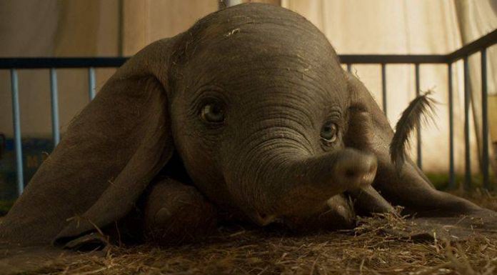 Dumbo ganha exibição no CineMaterna do Boulevard