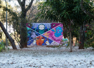 Exposição apresenta grafites feitos nas ruas do DF