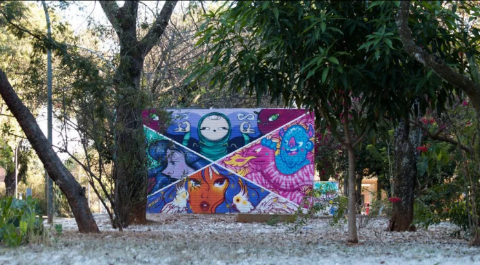Exposição apresenta grafites feitos nas ruas do DF