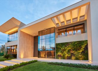 Jardim vertical: tendência repleta de benefícios