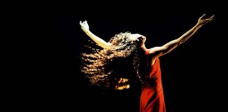 Mila Petrillo lança nova exposição e livro