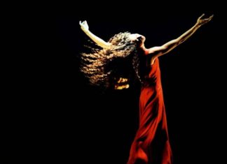 Mila Petrillo lança nova exposição e livro