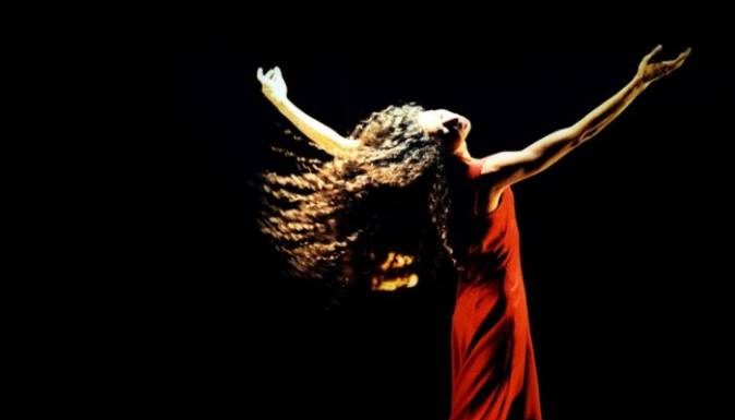 Mila Petrillo lança nova exposição e livro