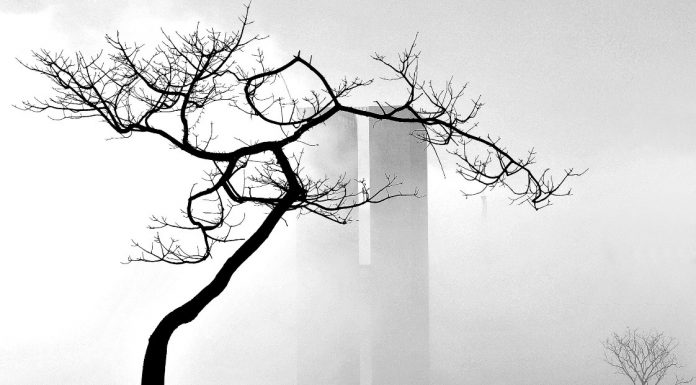 Exposição fotográfica Olhar Brasília