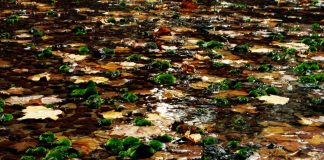 Projeto Hidden recebe exposições culturais