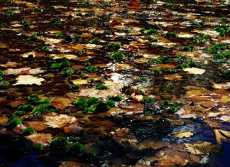 Projeto Hidden recebe exposições culturais