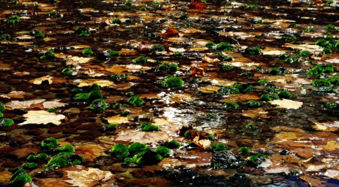 Projeto Hidden recebe exposições culturais