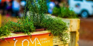 CoMA investe em iniciativas socioambientais