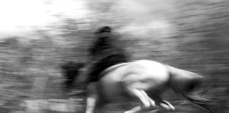 Casapark recebe edição da Feira do Livro de Fotografia de Brasília