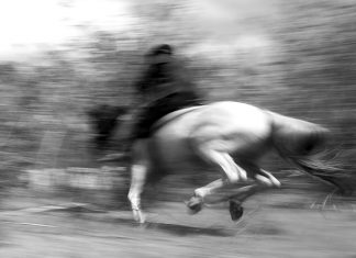 Casapark recebe edição da Feira do Livro de Fotografia de Brasília