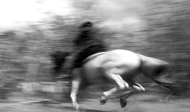 Casapark recebe edição da Feira do Livro de Fotografia de Brasília