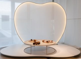 ELA: Nova coleção Lider é assinada por mulheres