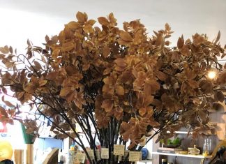 Arranjos de plantas e flores artificiais para decorar com praticidade