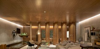 2019: ano de mais crescimento para o NBD