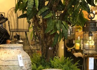 Empresária brasiliense confere grandes mostras nacionais