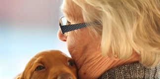 Pets ajudam idosos a vencer a solidão na pandemia