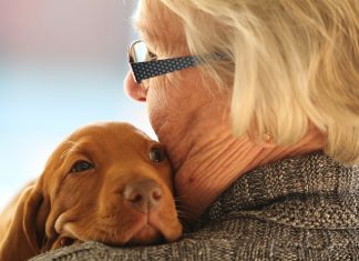 Pets ajudam idosos a vencer a solidão na pandemia