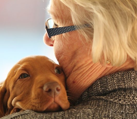 Pets ajudam idosos a vencer a solidão na pandemia