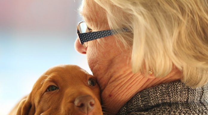 Pets ajudam idosos a vencer a solidão na pandemia