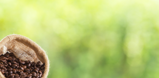Dia Mundial do Café: especialista dá dicas de uso do fruto