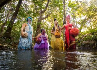 Água Não É Contrato: videoclipe alerta para preservação do bioma