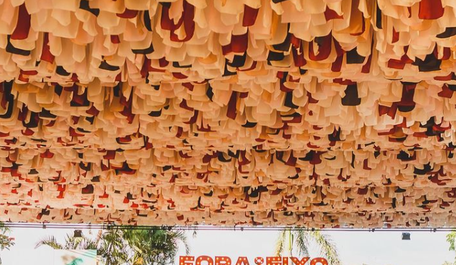 Bosque Park Experience promove música ao vivo durante toda semana