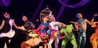 Novo espetáculo infantil da Focus Cia de Dança ganha apresentações em Brasília