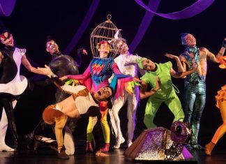 Novo espetáculo infantil da Focus Cia de Dança ganha apresentações em Brasília