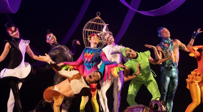 Novo espetáculo infantil da Focus Cia de Dança ganha apresentações em Brasília