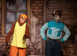 Teatro Brasília Shopping reabre suas portas após dois anos fechado