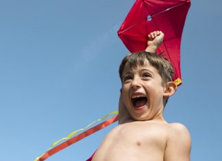 Dia dos Pais terá festival de pipas na Torre de TV