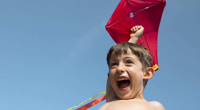 Dia dos Pais terá festival de pipas na Torre de TV