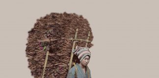 Akimi Watanabe abre a exposição “Silenciamentos Indomáveis”