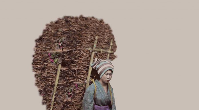 Akimi Watanabe abre a exposição “Silenciamentos Indomáveis”