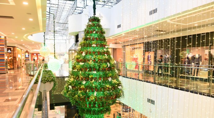 Brasília Shopping apresenta ao público o Jardim do Noel