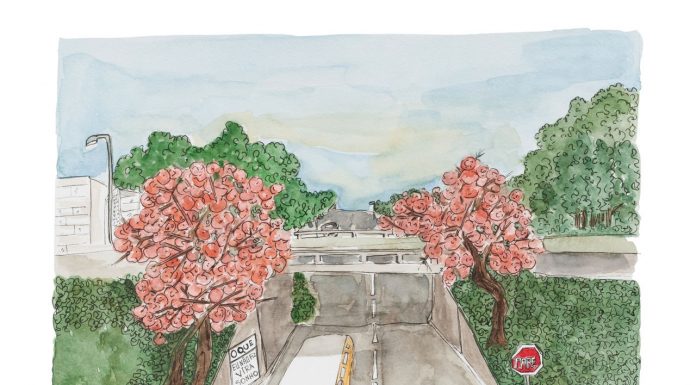 Arte e poesia visual: conheça o calendário 2023 de Carmen San Thiago