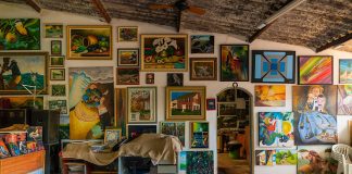 Archademy Distrito Federal promove concurso para renovar a sede do Instituto Metamorfose