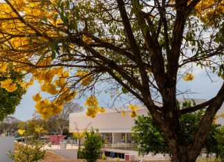 Primavera no MAB: Memórias, democracia e diversidade encerram o mês de setembro