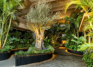 Depieri Paisagismo dá as boas-vindas à CASACOR Brasília