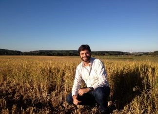 Empresário de Miami lança plataforma para reflorestar a Amazônia