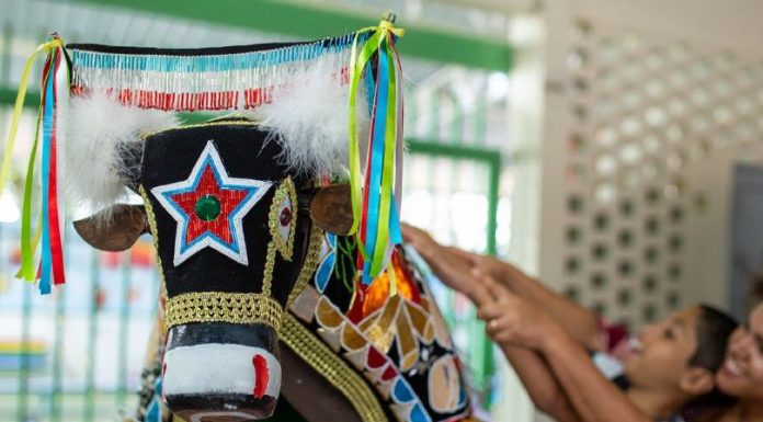 CCBB Brasília convida público para atividades que celebram a pluralidade cultural