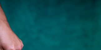 Conheça o Zé Torresmo