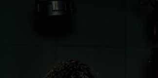 CASACOR Brasília traz programação musical todas as sextas-feiras à noite