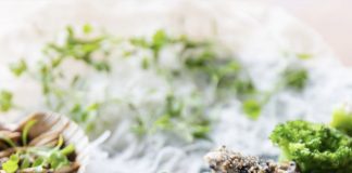 Noru abre menu omakase vegetariano