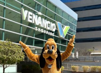 Venâncio Shopping recebe última feira de adoção do ano