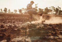 Espetáculo FIM provoca reflexão sobre o esgotamento do planeta e do corpo